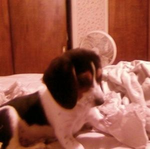 Meet your Posher, Ruth